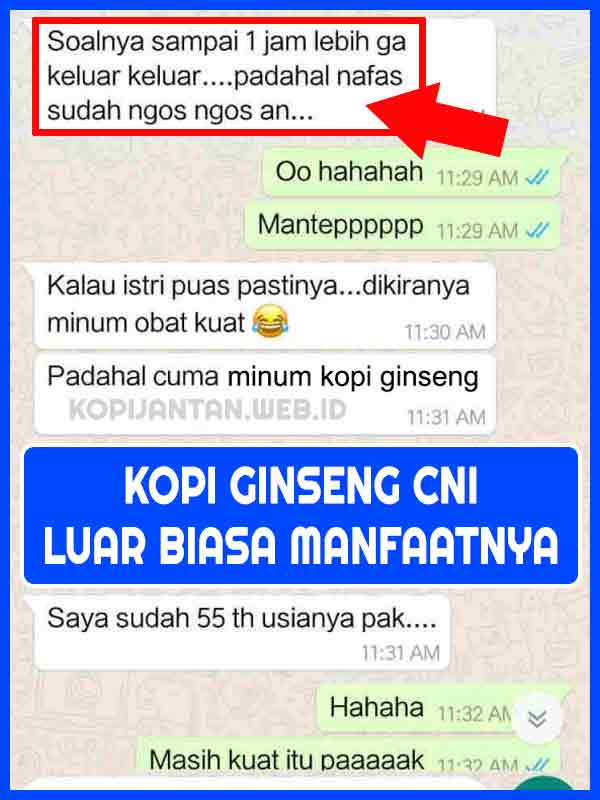 Review Produk Kopi Ginseng CNI Original 